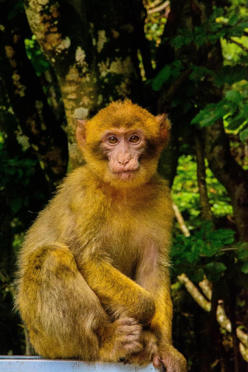 Bodensee:Unteruhldingen