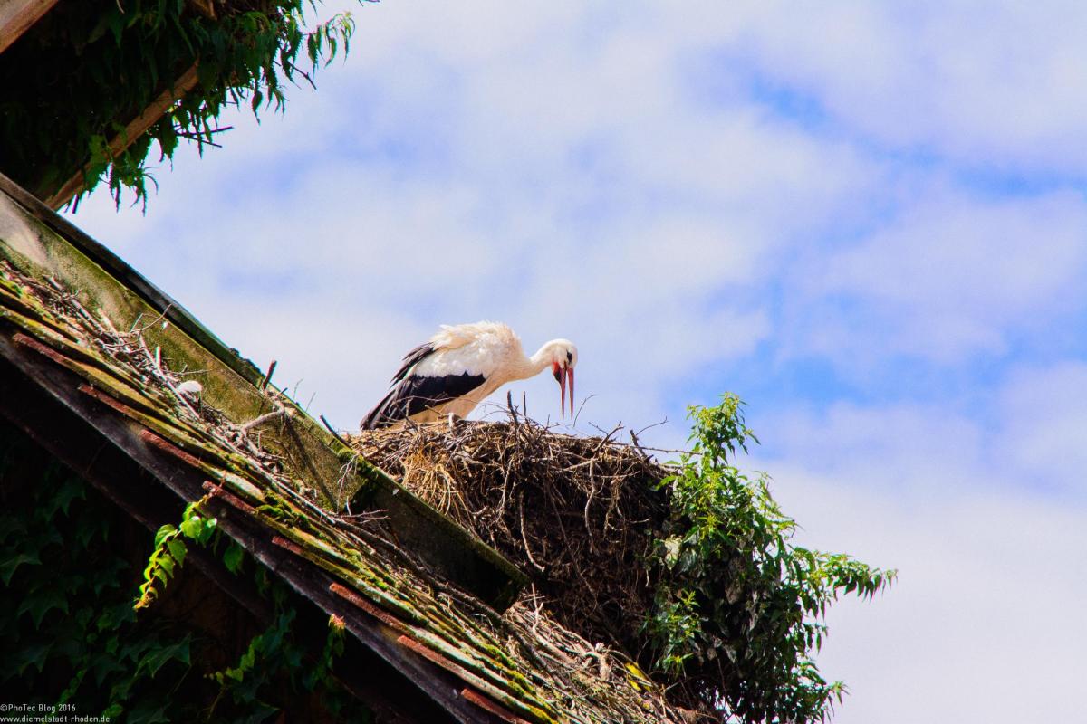 Bodensee:Unteruhldingen