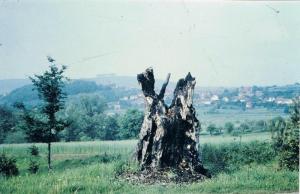 Rhoden-Waldeck