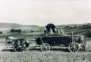 Rhoden-Waldeck