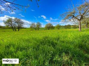 Rhoden im Mai - 2. Teil