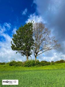 Rhoden im Mai - 2. Teil