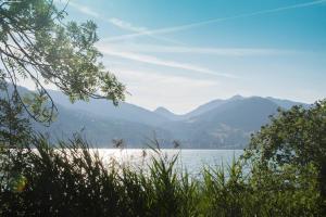 Der Tegernsee