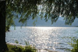 Der Tegernsee