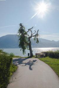 Der Tegernsee