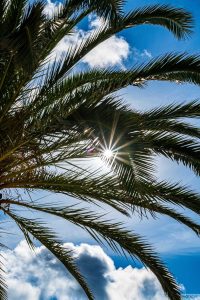 Alcudia 2025 / Mallorca