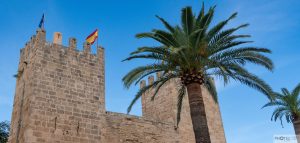 Alcudia 2025 / Mallorca