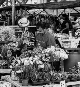 Alcudia 2025 / Mallorca