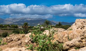 Alcudia 2025 / Mallorca