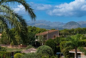 Alcudia 2025 / Mallorca
