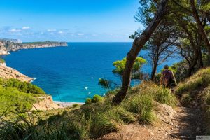 Alcudia 2025 / Mallorca