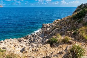 Alcudia 2025 / Mallorca