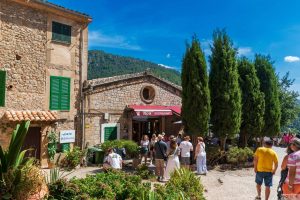 Alcudia 2025 / Mallorca