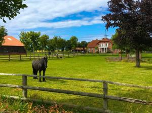 Steilküste Heiligenhafen