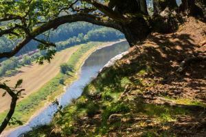 Elbsandsteingebirge / sächsische Schweiz